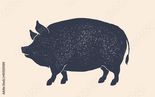Pork, pig. Vintage retro print, black white pig drawing, grunge old school style. Isolated black silhouette pig on white background. Side view profile. Vector Illustration