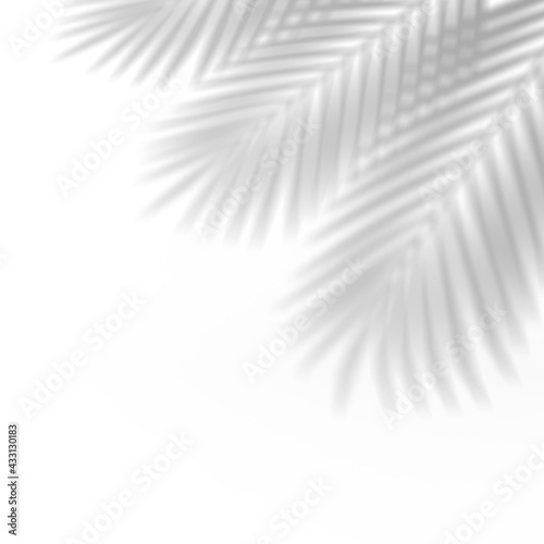 Palm leaf shadow overlay effect. Abstract background with tropical leaves shadows. 3d rendering