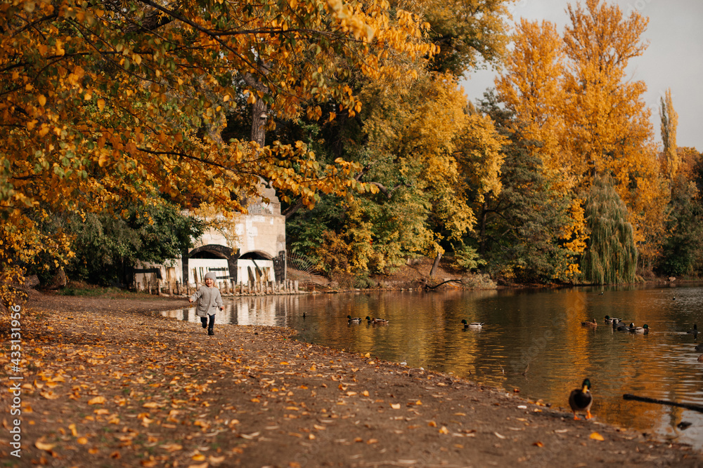 Obraz premium Golden autumn, a 4-year-old girl in a gray coat is walking near the lake in the autumn park