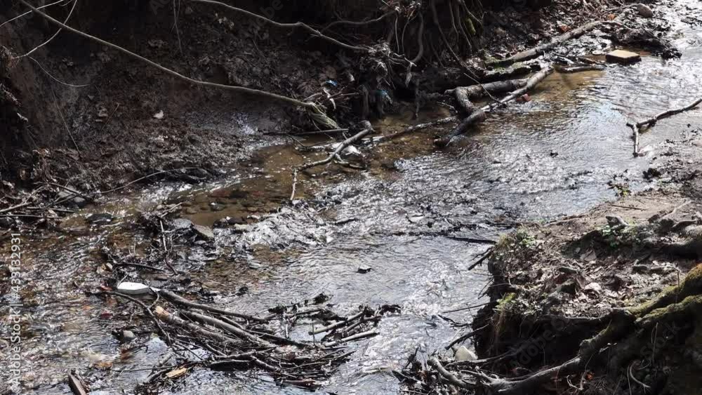 A Forest Creek With Run Water, Tree Branches Lying After Winter, With The Sound Of Rushing Water. A Forest Creek With Run Water, Tree Branches Lying After Winter, With The Sound Of Rushing Water.