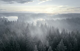 The tops of the spruce forest in fog and white snow, top view
