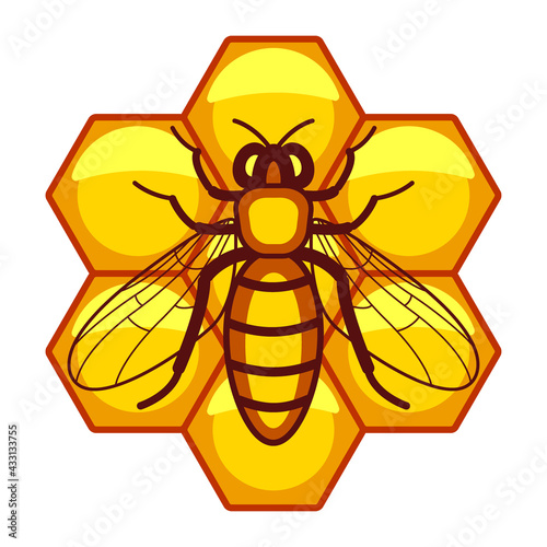 Bee on honeycombs