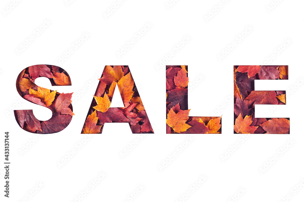 Paper cut sale text filled with texture of yellow and red autumn fall maple leaves isolated on white background. Autumn flyer, banner or poster design template with copy space. Fall shopping concept.