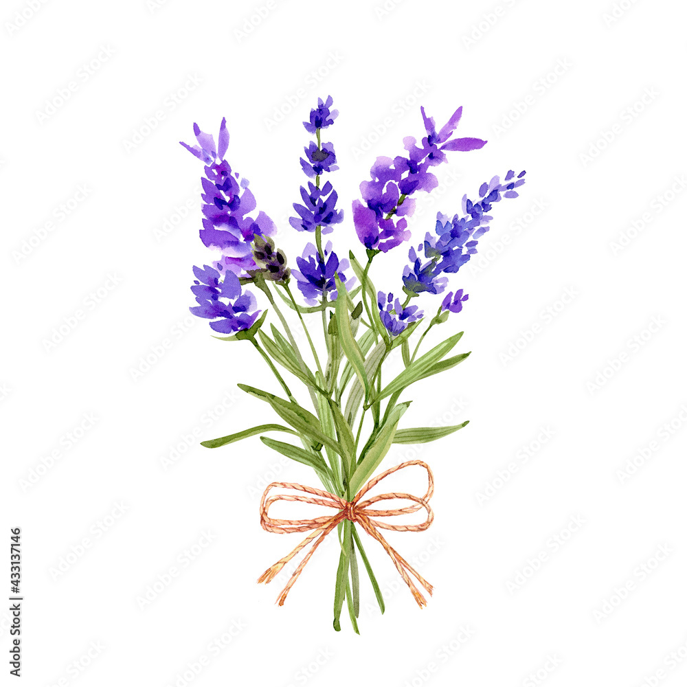Obraz premium bouquet with purple lavender flowers watercolor illustration on white background. hand-painted for weddings and invitations.