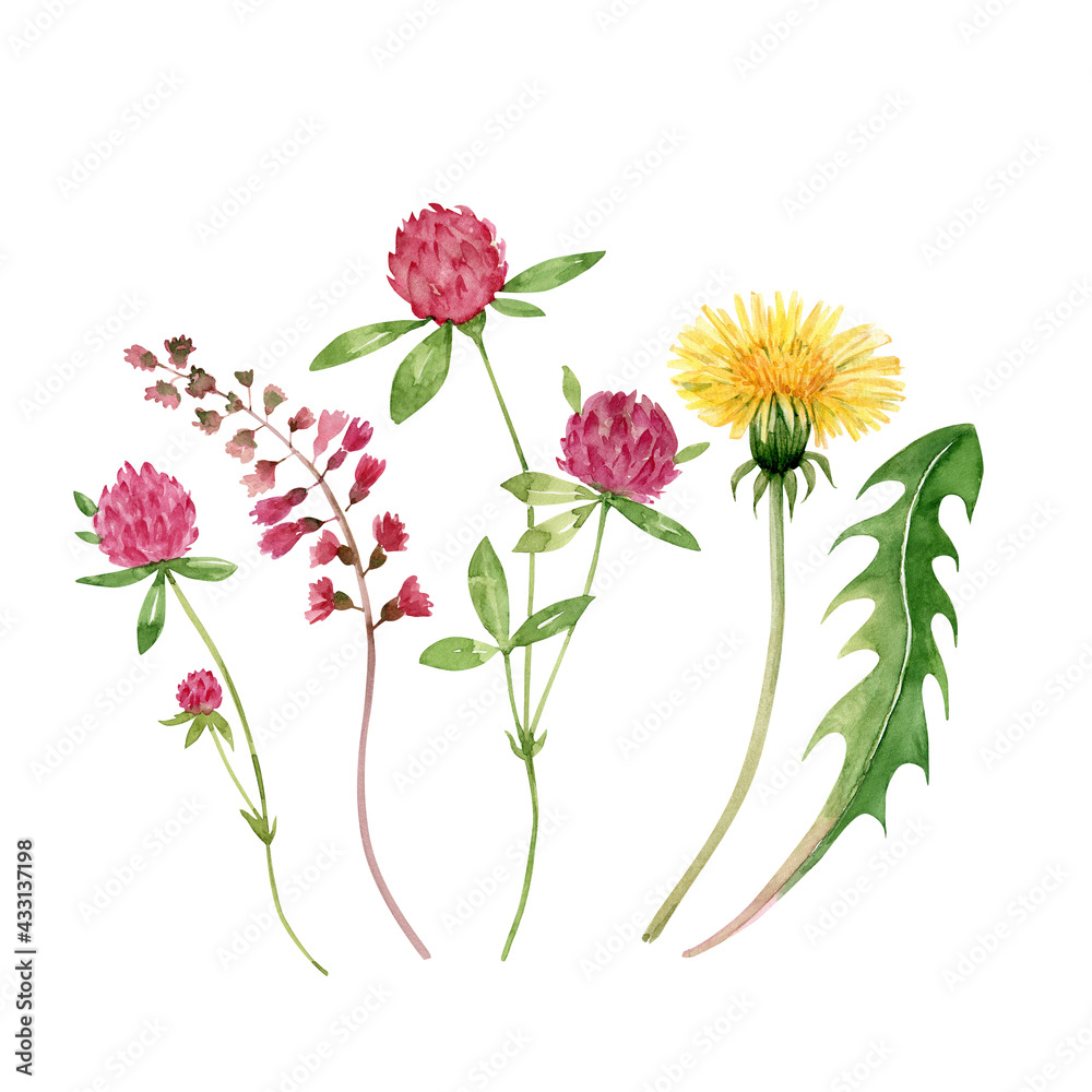 set of watercolor illustrations of pink and yellow meadow flowers and green leaves on a white background. hand painted for design and invitations.