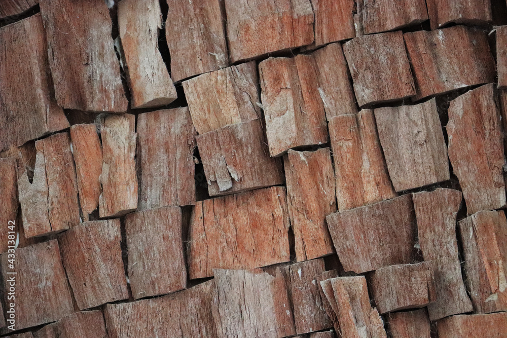 wooden tree slice rings timber texture surface backdrop wooden tree slice rings timber texture surface backdrop