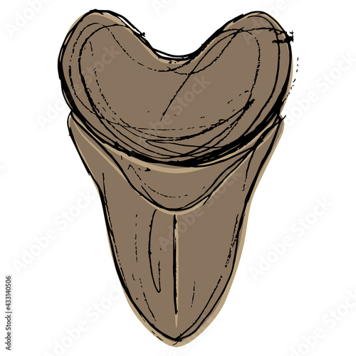 Tooth of extinct prehistoric shark Megalodon. Hand drawn colorful rough sketch.