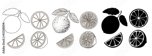 Set of 4 citrus fruits in outline style, doodle and black silhouette. One citrus on a branch with two leaves, half and two wedges isolated on a white background. Stock vector illustration.