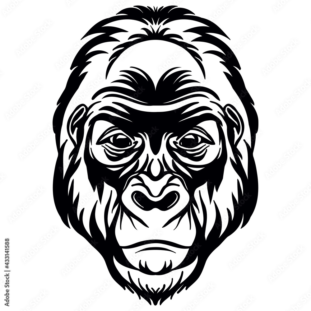 Vector head of mascot gorilla head isolated on white