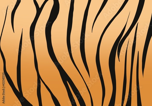 illustration of a tiger skin. tiger fur texture. 