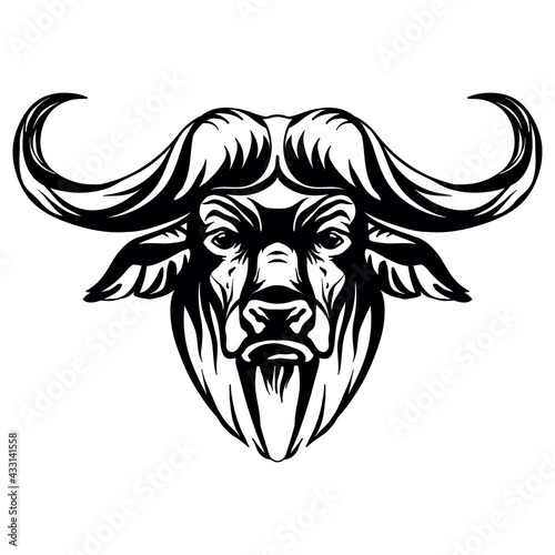 Vector head of mascot african buffalo head isolated on white