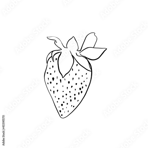 line art of strawberries. drawing strawberry line close up