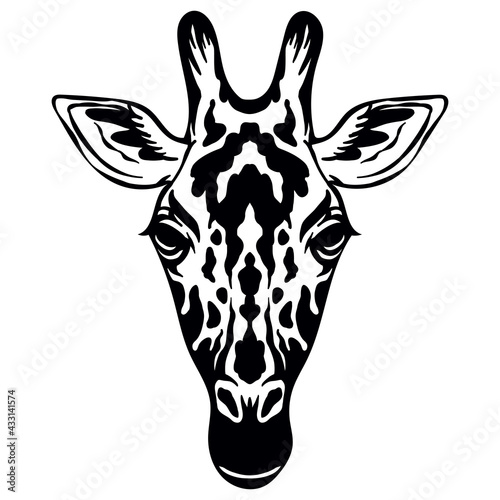 Vector head of mascot giraffe head isolated on white