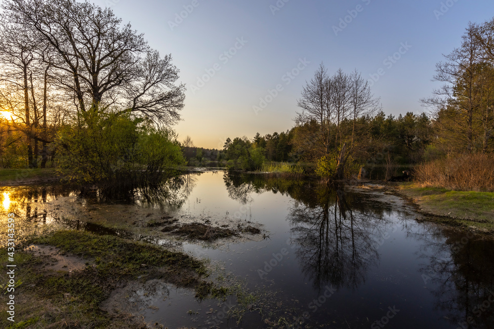 Spring landscape with a river. bushes and trees. The evening sun illuminates the landscape. The rays of the setting sun.