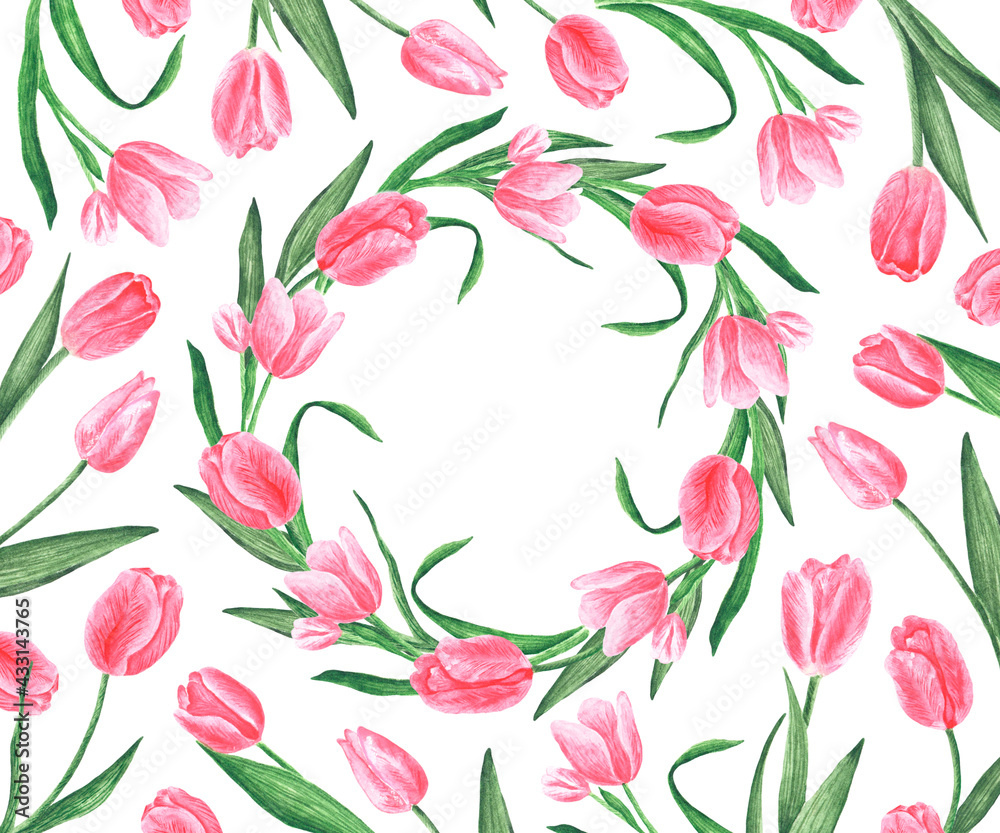 Tulips watercolor card. Pink watercolor tulips. Delicate spring flowers. Botany. Flora. Spring. On white background. For printing on postcards, invitations, covers