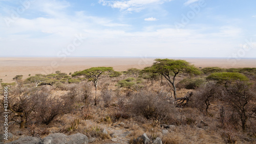 Road to Serengeti national park  Tanzania landscape