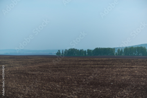 Field and forest in the evening haze  fog .