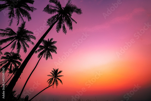 Summer season Sunset with coconut tree in twilight time at beach © kimtaro2008