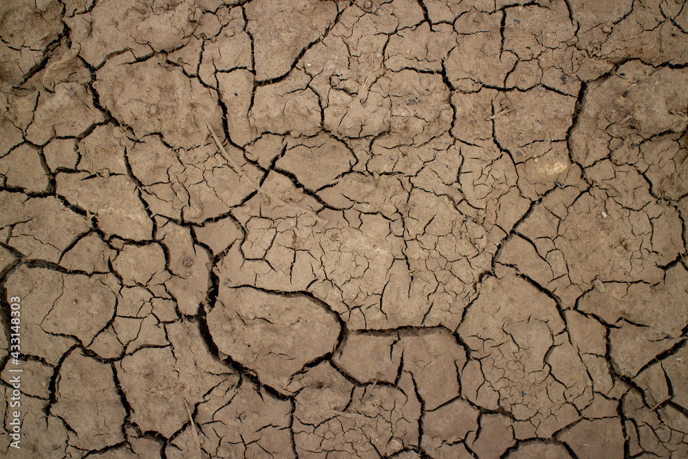 Fototapeta premium Large cracks in the ground. Abstract lines. Beautiful background. Nature. Photo in good quality.