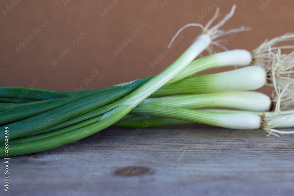 Fresh green onion on the wooden table close up. Healthy food and cooking ingredients. Green vegetables with vitamins for salad. Fresh green onion on the wooden table close up. Healthy food and cooking ingredients. Green vegetables with vitamins for salad.