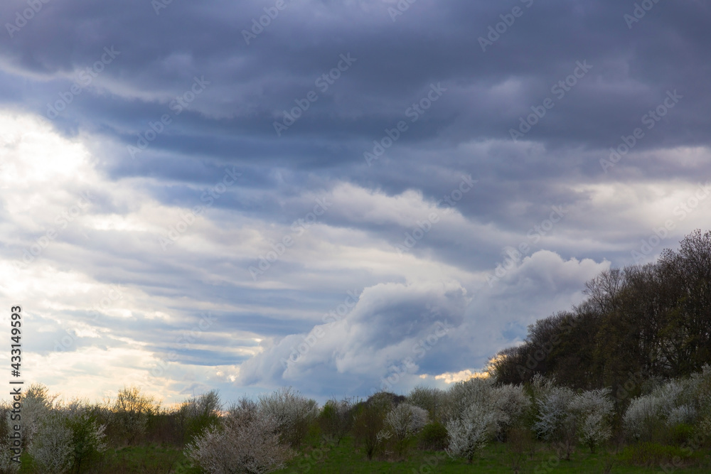 Background of dark white clouds before a thunderstorm and rain, over green trees.
