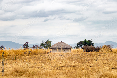 landscape with hut in africa