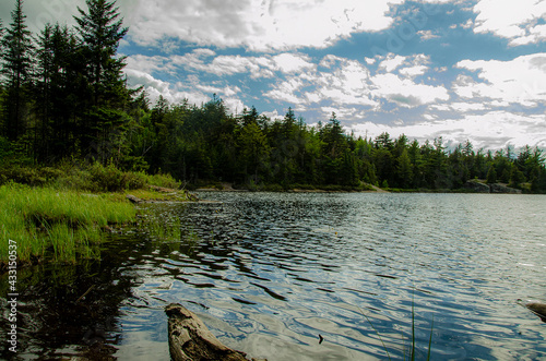 Lake Views
