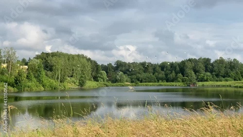 White birds fly over the lake outside the city
