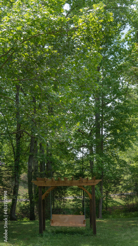 Swing In The Forest 