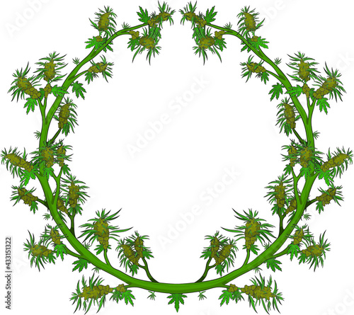 marijuana ring, green, weed, vector design