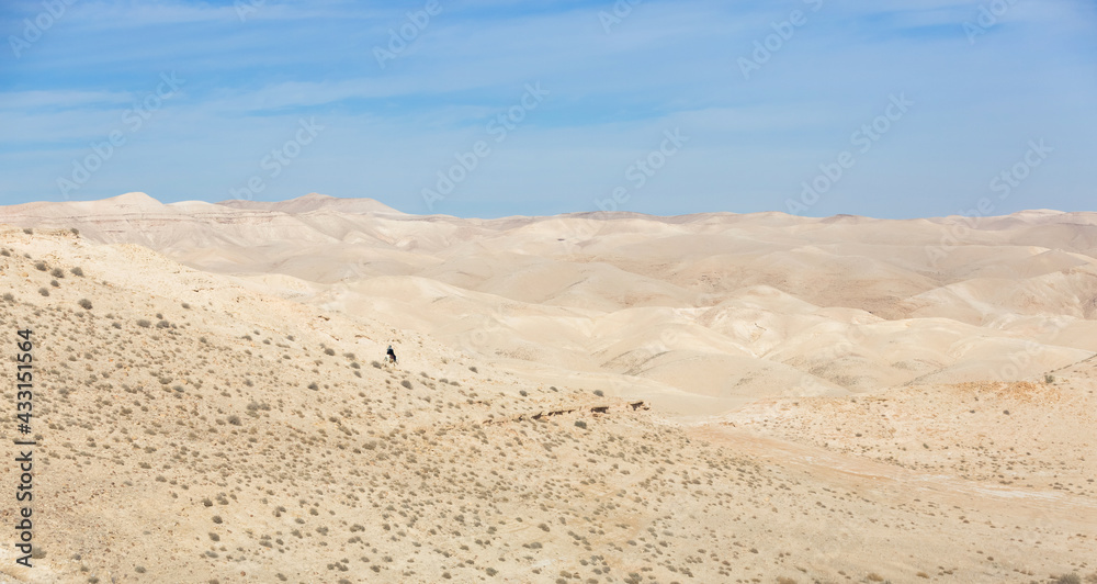 Judean Desert in clear weather, Israel. White sand dunes and blue sky. Local man on a donkey on a hill. Wadi Qelt land Judean Desert in clear weather, Israel. White sand dunes and blue sky. Local man on a donkey on a hill. Wadi Qelt land