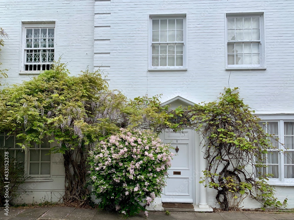 LONDON, UNITED KINGDOM - 09.05.2021. Fragment of facade of white brick house in South Kensington. Front garden with blossoming trees. Selective focus