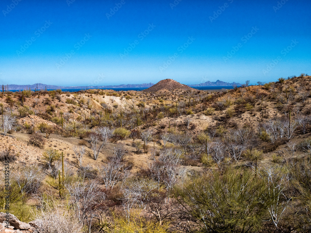 Baja California and the Sea of Cortez