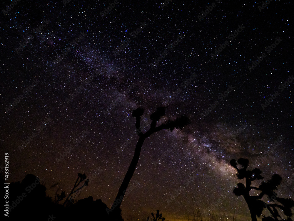 Fototapeta premium starry night sky