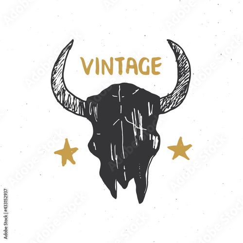 Bull or cow skull, animal head graphic print. T-shirt typography design. Vector illustration