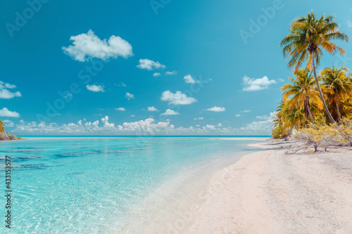 Fototapeta Naklejka Na Ścianę i Meble -  Beach paradise travel vacation tropical getaway in Rangiroa atoll, Tuamotu islands, French Polynesia. Tahiti honeymoon destination with idyllic pristine ocean crystal clear turquoise water.