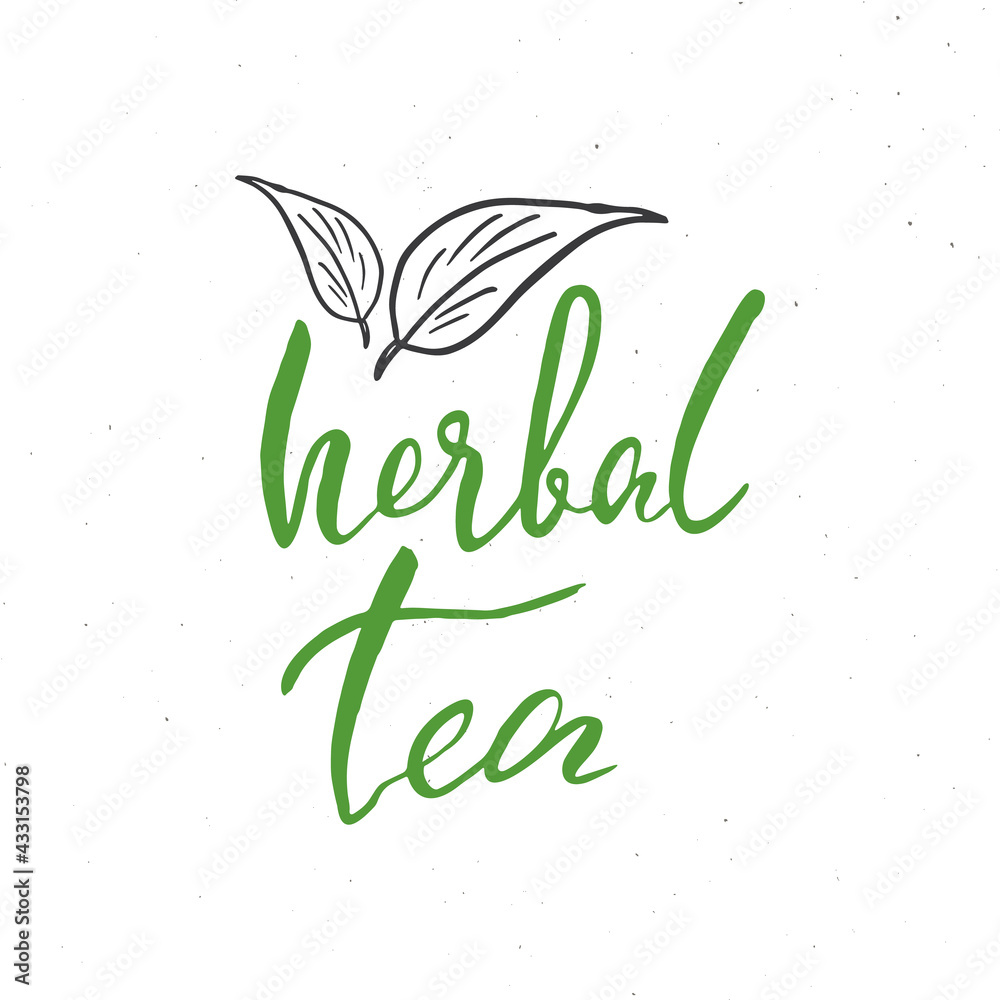 Obraz premium Herbal Tea lettering handwritten sign, Hand drawn grunge calligraphic text. Vector illustration