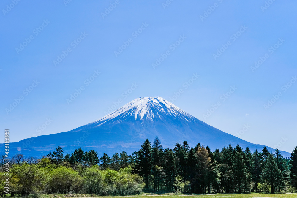 静岡県朝霧高原からの富士山 静岡県朝霧高原からの富士山