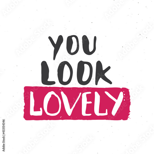 You look lovely lettering handwritten sign  Hand drawn grunge calligraphic text. Vector illustration