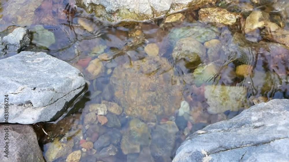 日本・埼玉県・秩父の川辺風景。川の流れ・水面・川遊び。 日本・埼玉県・秩父の川辺風景。川の流れ・水面・川遊び。