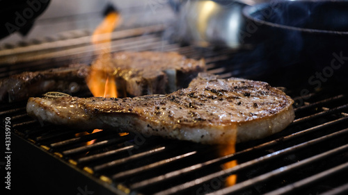 grilled meat on the grill