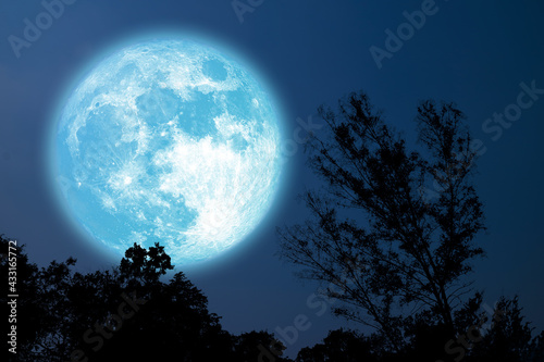 Full Grain blue moon silhouette tree in field on night sky
