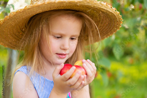 Portrait of children in an apple orchard. Little girl in straw hat and blue striped dress, holding apples in her hands. Carefree childhood, happy child