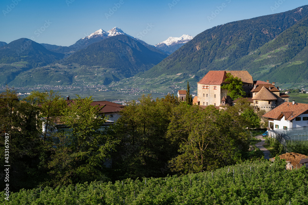 Blick auf Schenna in Südtirol