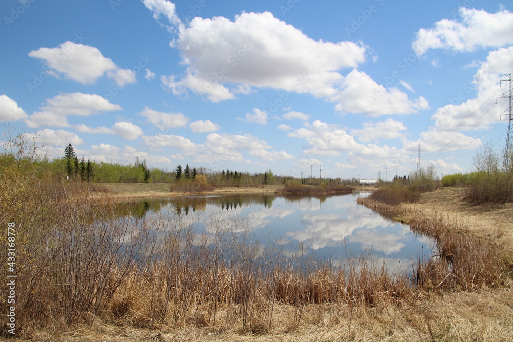 Calm May, Pylypow Wetlands, Edmonton, Alberta