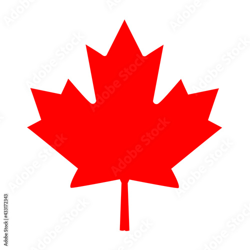 Canadian flag maple leaf vector image