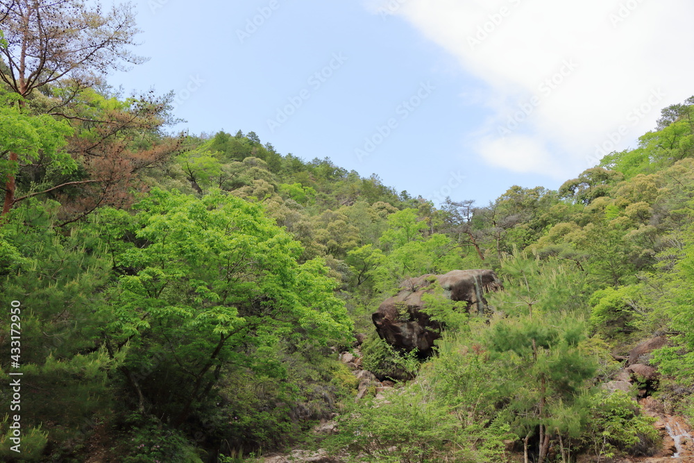 新緑に囲まれた山中の岩と小さな滝 新緑に囲まれた山中の岩と小さな滝