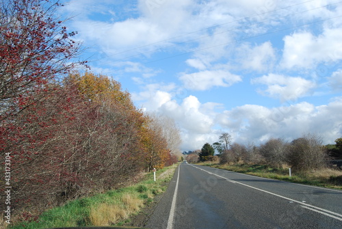 Autumn Road