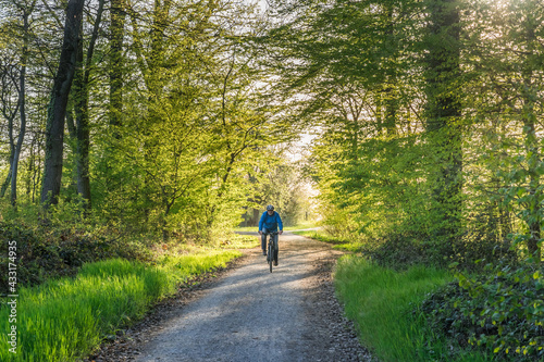 Man cycling through the forest in the spring afternoon light