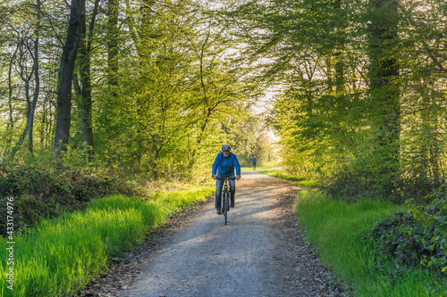 Man cycling through the forest in the spring afternoon light